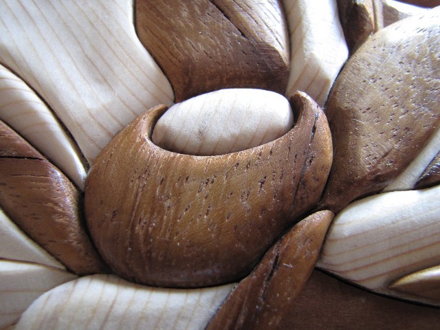 particolare del fiore: 