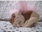 gatto in legno: gattino di legno realizzato con il traforo elettrico