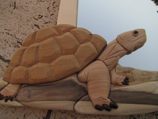 Tartaruga in legno: 