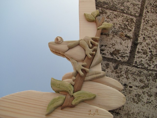 rana in legno: 