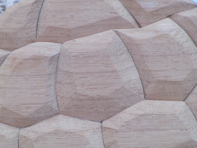 carapace della tartaruga di legno: 