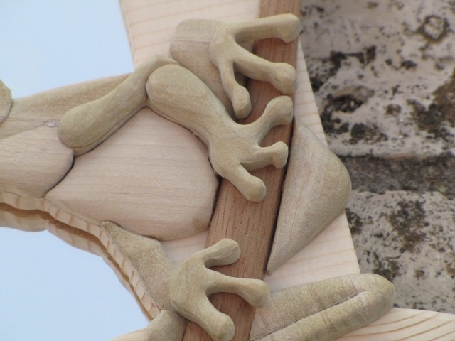 Particolare del corpo della rana: 