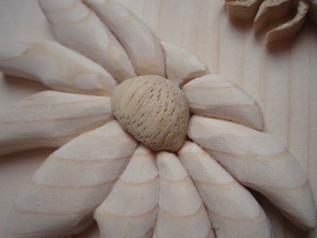 Particolare del fiore: 